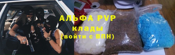 ECSTASY Новозыбков