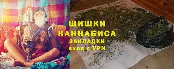 ГАЛЛЮЦИНОГЕННЫЕ ГРИБЫ Абаза