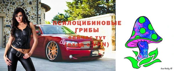 ECSTASY Новозыбков