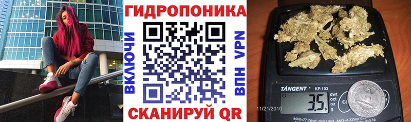Марихуана конопля  Псков 